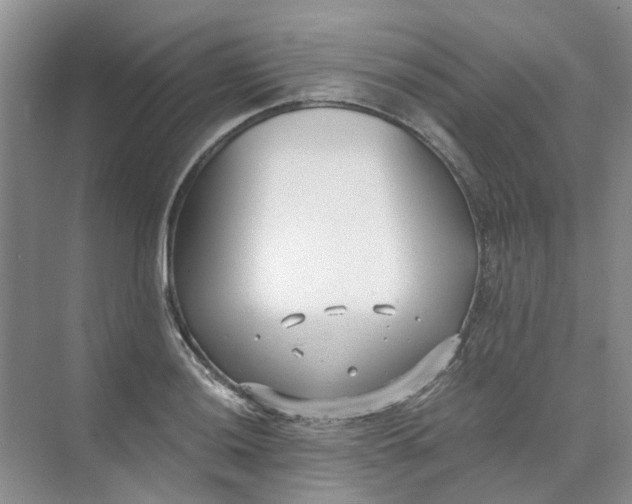 X0000073861036200608312021