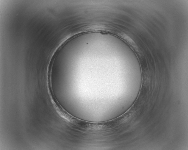 X0000073861039200608312021