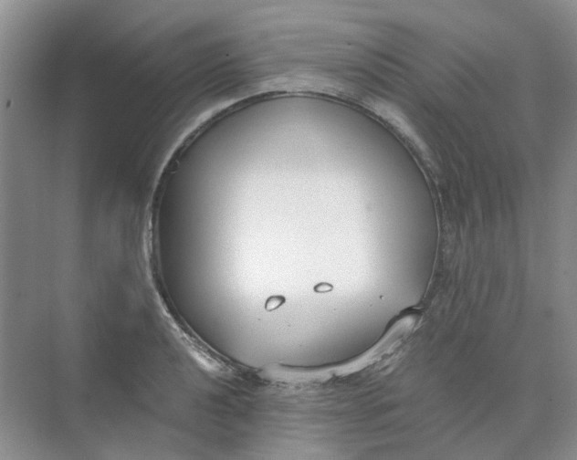 X0000073861040200608312021