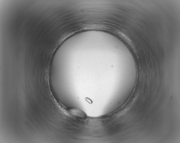 X0000073861041200608312021