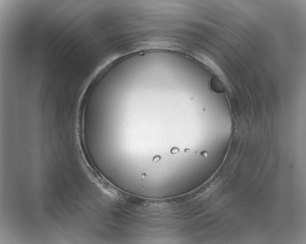 X0000073861043200608312021