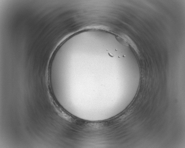 X0000073861044200608312021