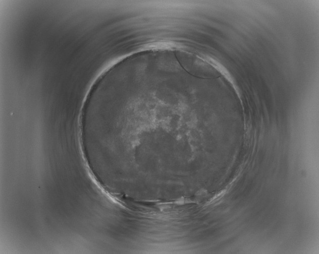 X0000073861045200608312021