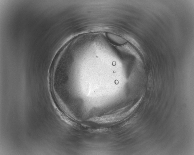 X0000073861047200608312021