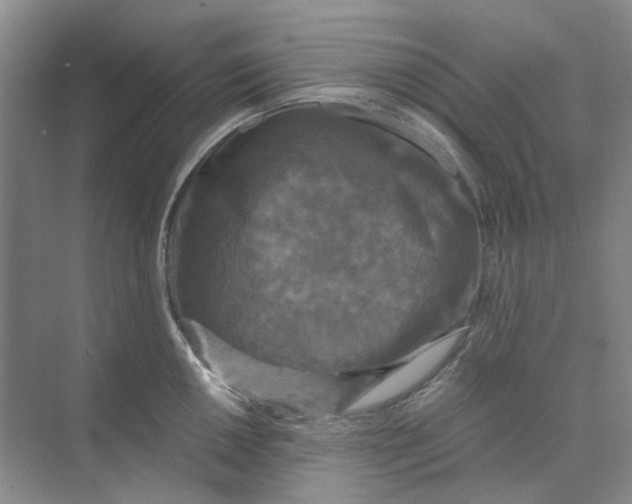 X0000073861050200608312021