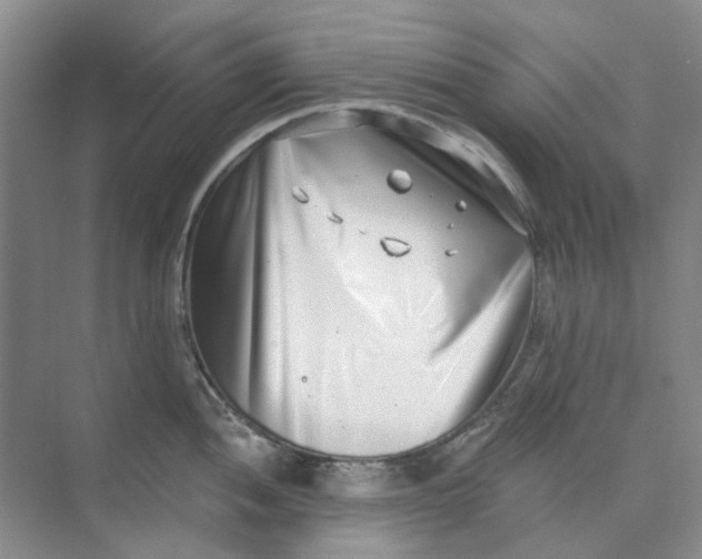 X0000073861052200608312021