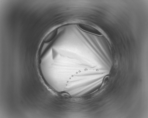 X0000073861053200608312021