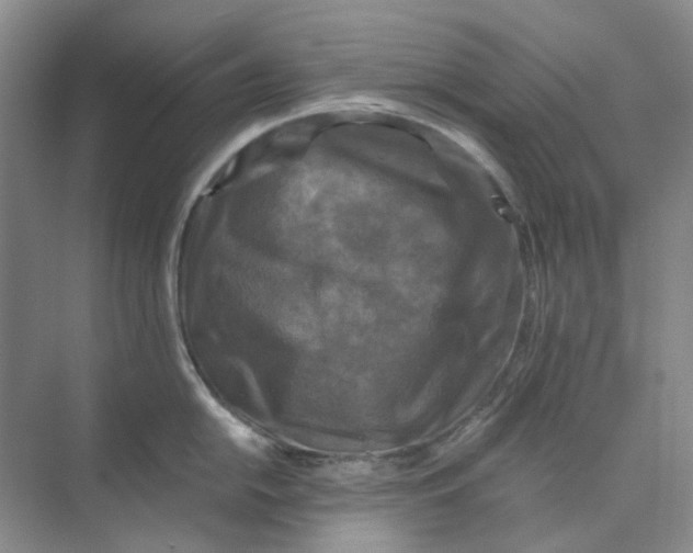 X0000073861054200608312021