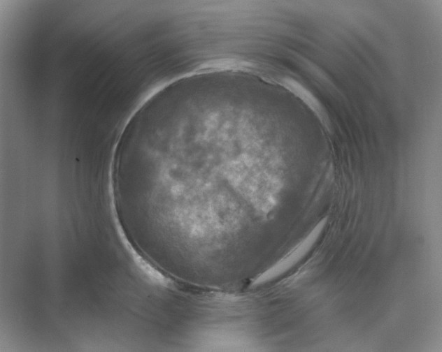 X0000073861055200608312021