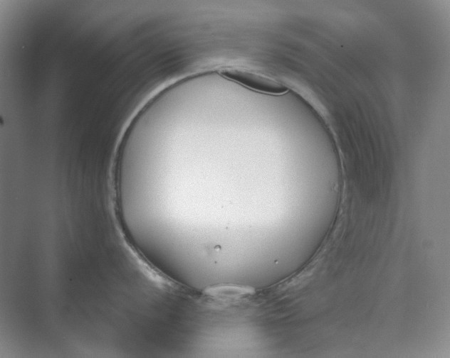 X0000073861056200608312021