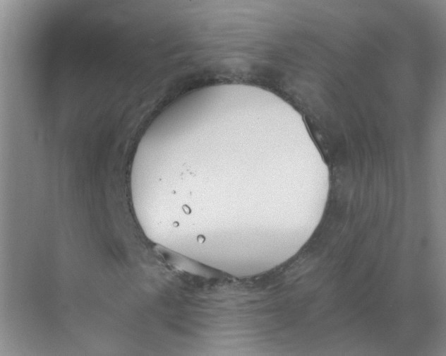 X0000073861057200608312021