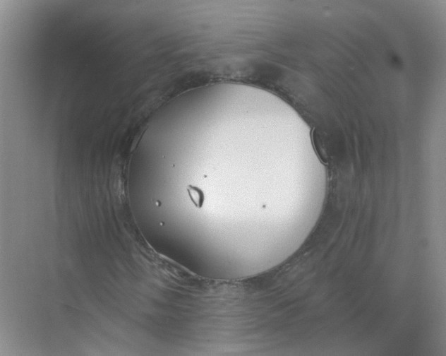 X0000073861058200608312021