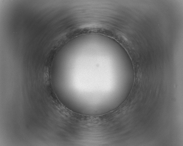 X0000073861062200608312021