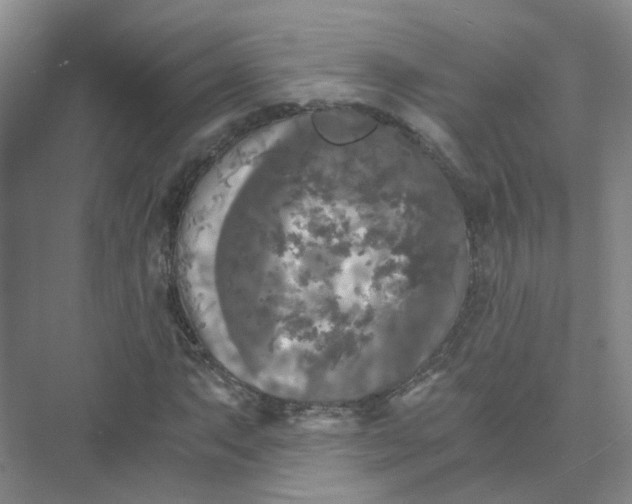 X0000073861063200608312021