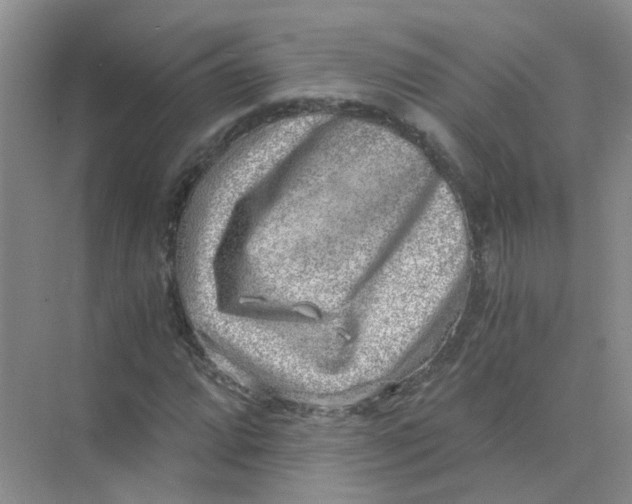 X0000073861064200608312021