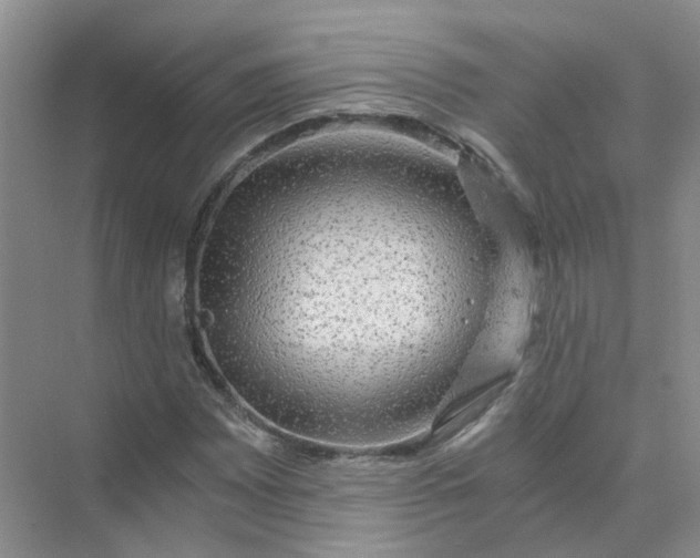 X0000073861065200608312021