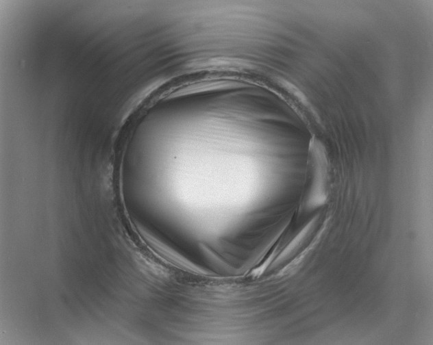 X0000073861066200608312021