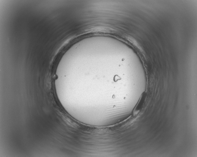 X0000073861067200608312021