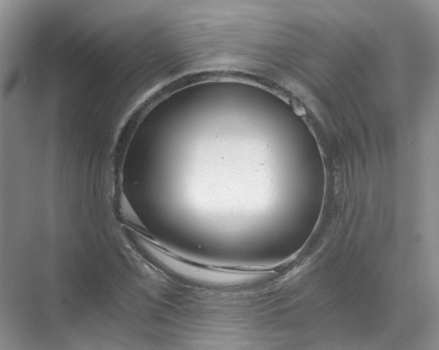 X0000073861069200608312020