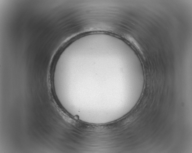 X0000073861072200608312020