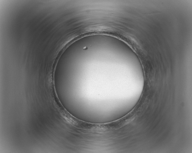 X0000073861073200608312020