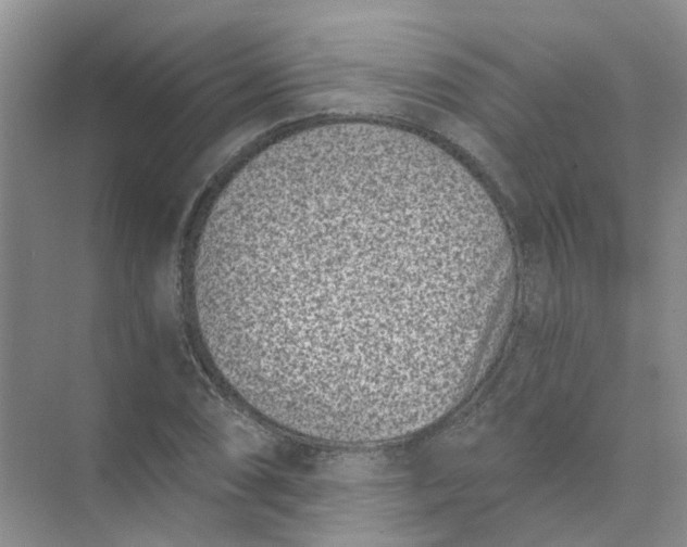 X0000073861074200608312020