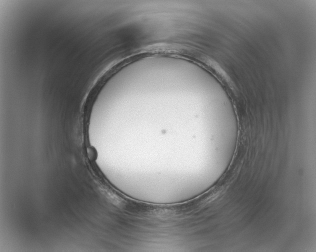 X0000073861075200608312020