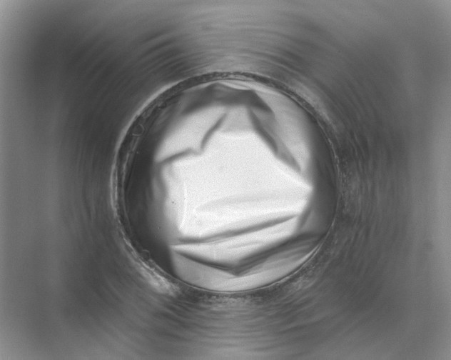 X0000073861076200608312020