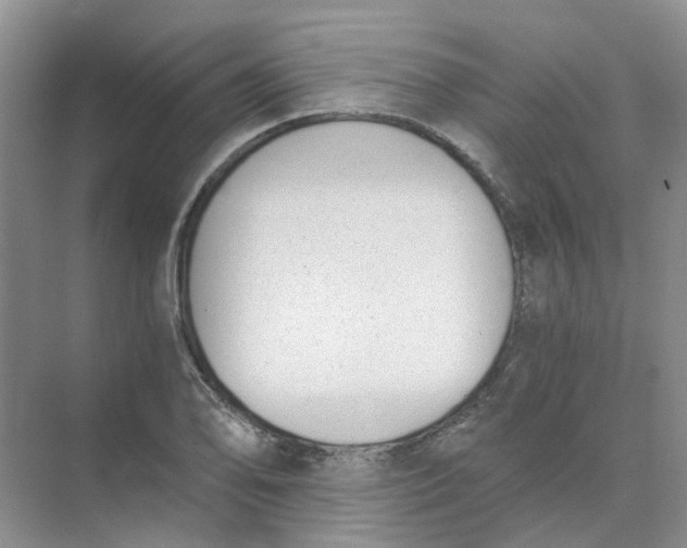 X0000073861078200608312020