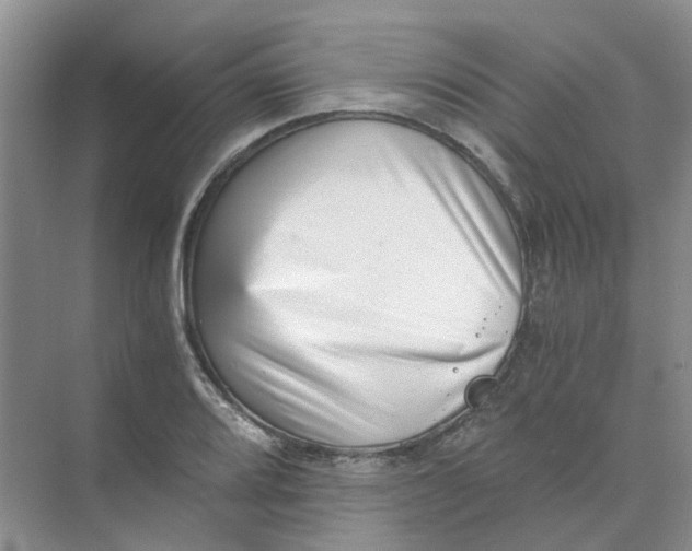 X0000073861080200608312020