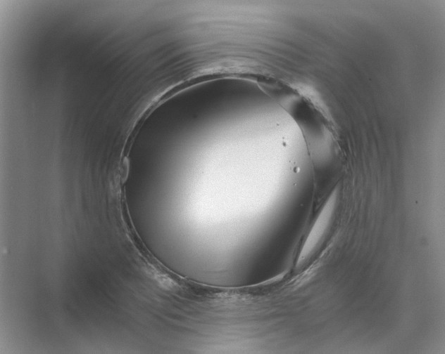 X0000073861081200608312020