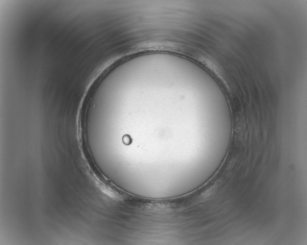 X0000073861082200608312020