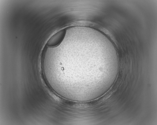 X0000073861083200608312020