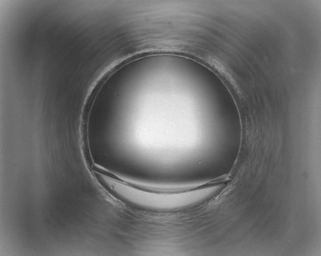 X0000073861085200608312020