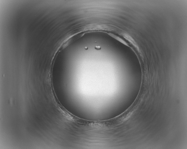 X0000073861089200608312020