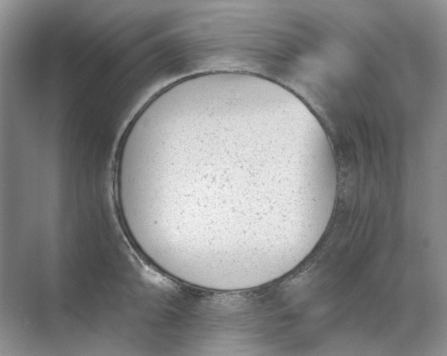 X0000073861094200608312020