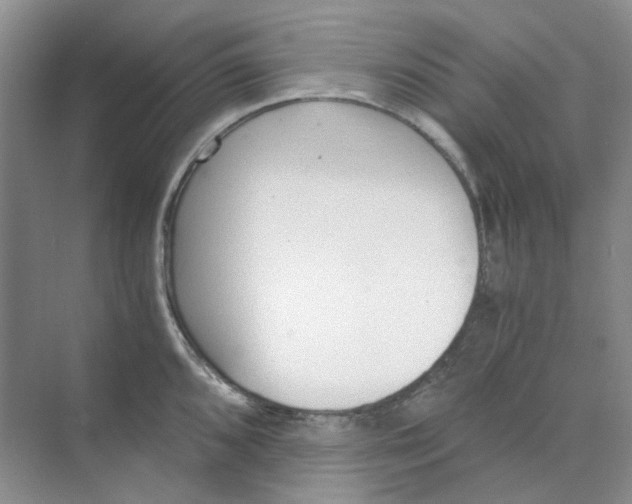 X0000073861096200608312020