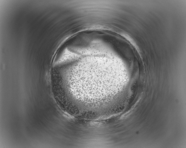 X0000073861097200608312020