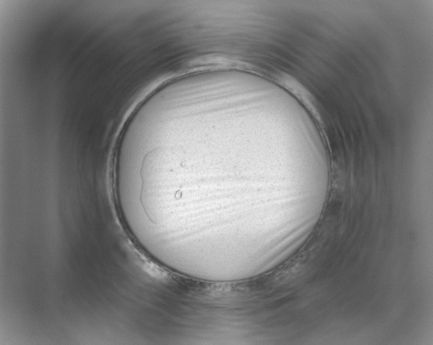 X0000073861098200608312020