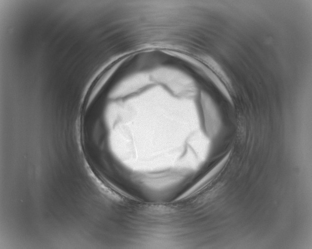 X0000073861100200608312020