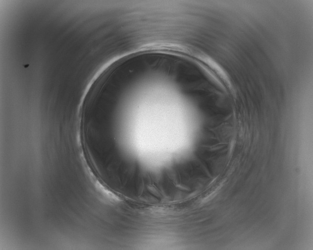 X0000073861102200608312020