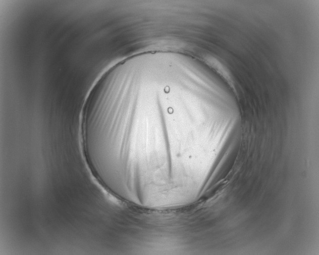 X0000073861103200608312020