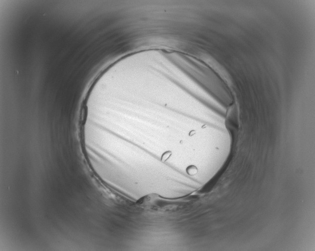 X0000073861104200608312020