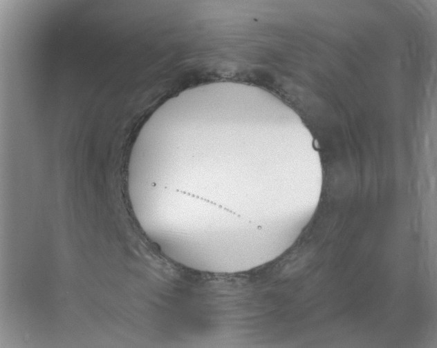 X0000073861105200608312019