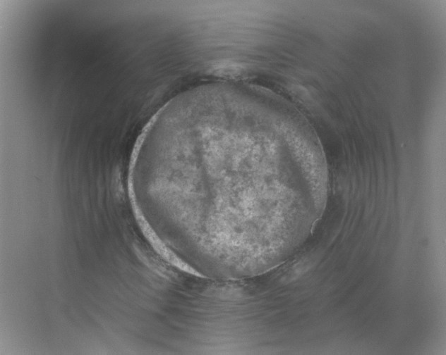 X0000073861106200608312019