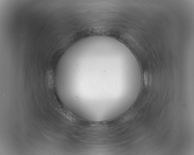 X0000073861107200608312019