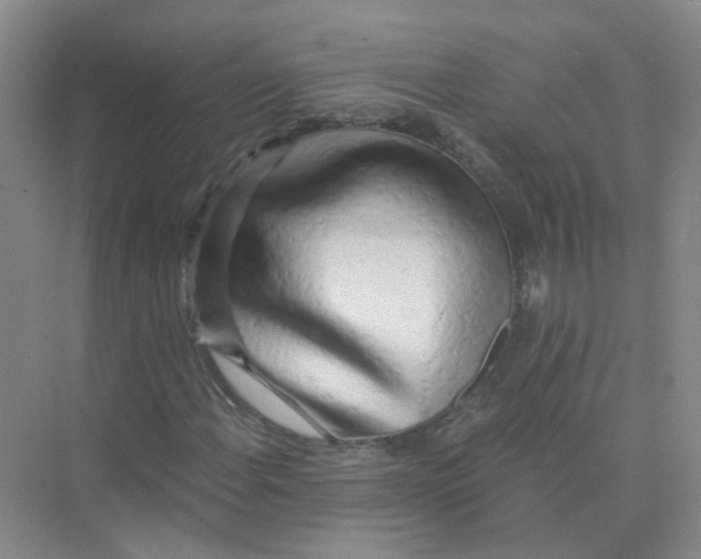 X0000073861108200608312019