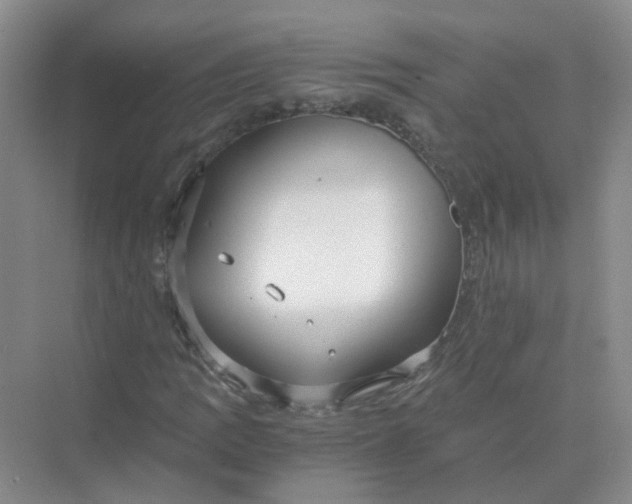 X0000073861109200608312019