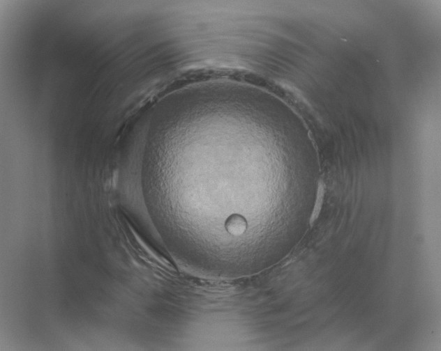 X0000073861110200608312019