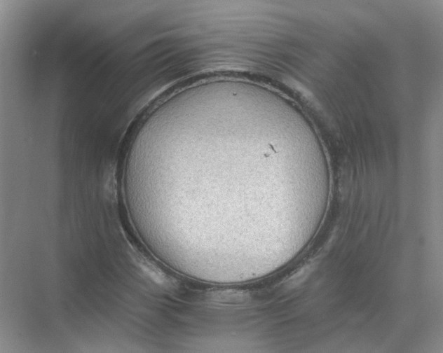 X0000073861113200608312019